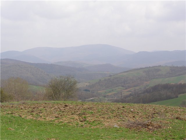 2.JPG