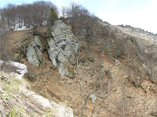 11.JPG