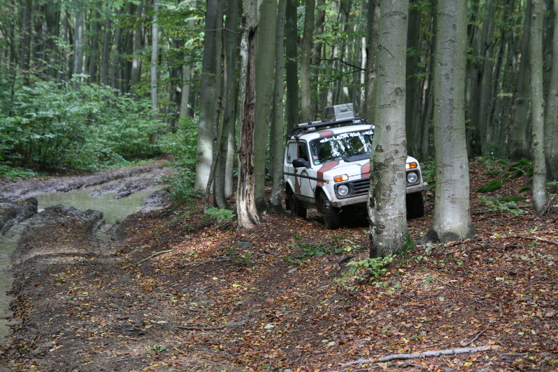 IMG_1486.jpg