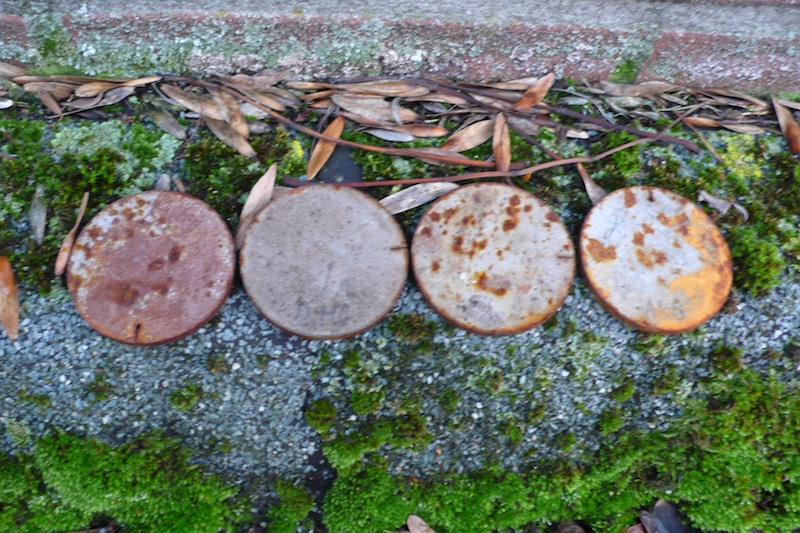 P1040584-2.jpg